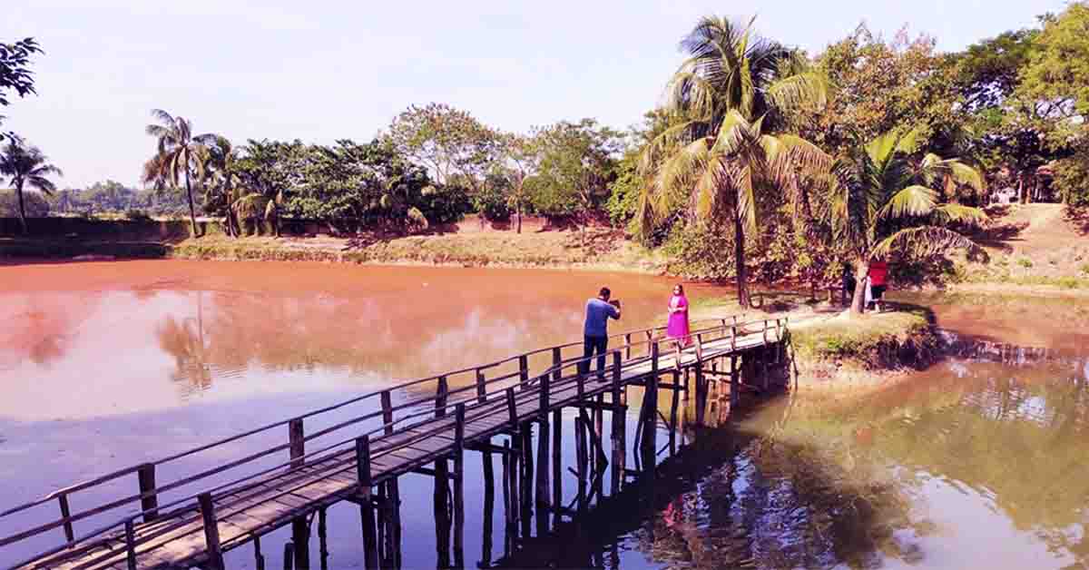 নুহাশ পল্লীতে যেতে কত টাকা খরচ হয়