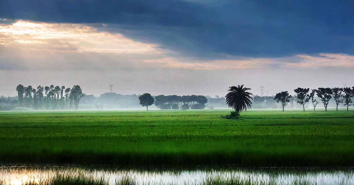 শিলাবৃষ্টির সাথে ধেয়ে আসছে শৈত্য প্রবাহ