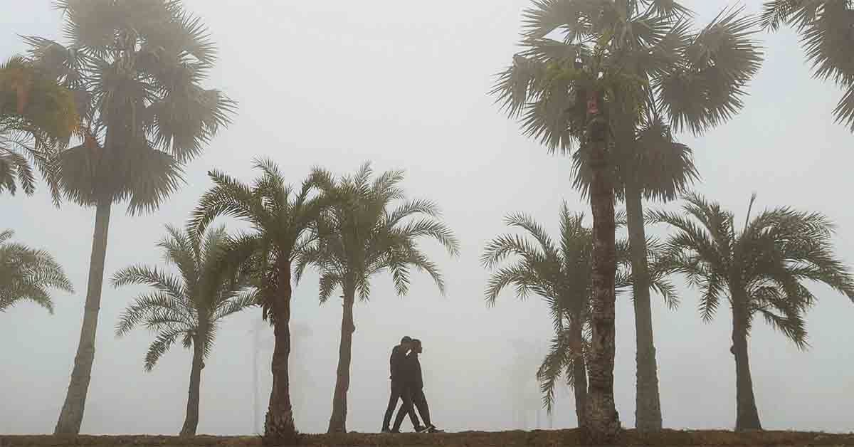 শীতের দিনে চারিদিকে ঘন কুয়াশা কিভাবে পড়ে