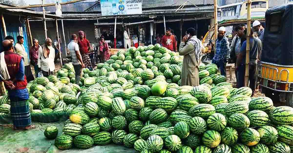 তরমুজ খেলে কি হয়